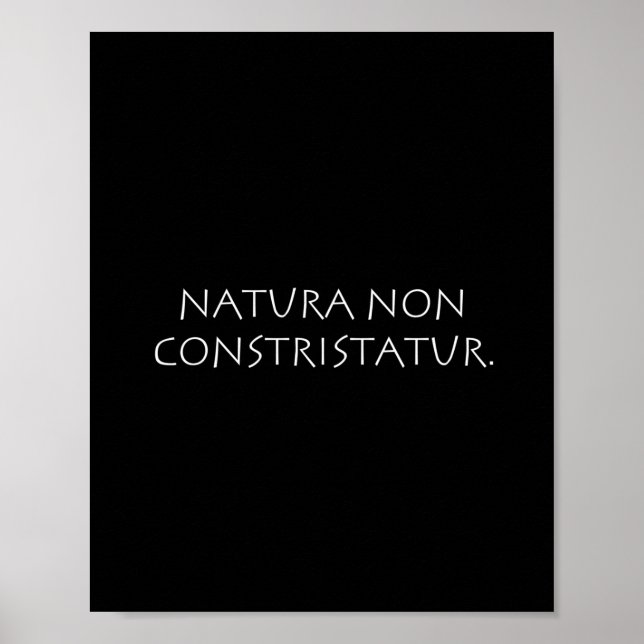 Póster Natura non constristatur (Frente)