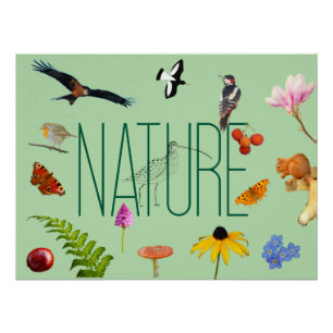 Poster natural