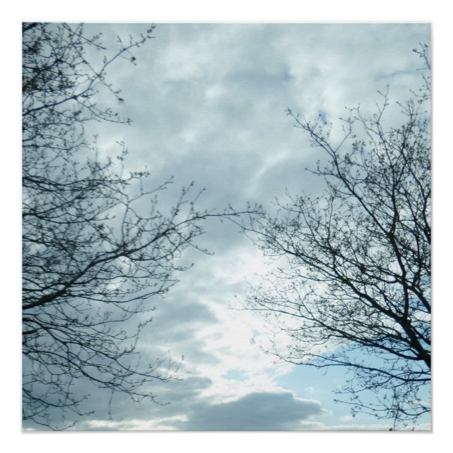 Poster natural (Anverso)