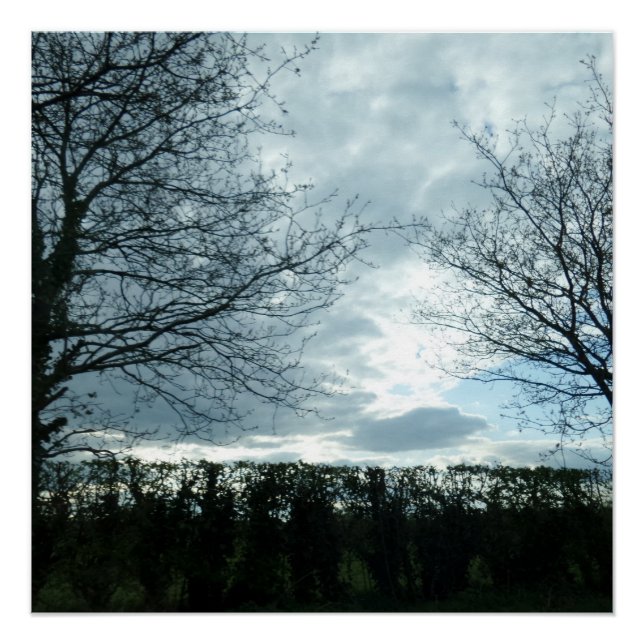 Poster natural (Anverso)