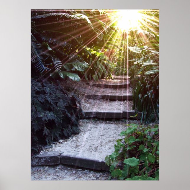 Póster Natural Ascension (Frente)