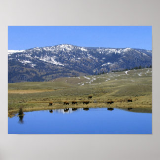 Póster Natural Reflection