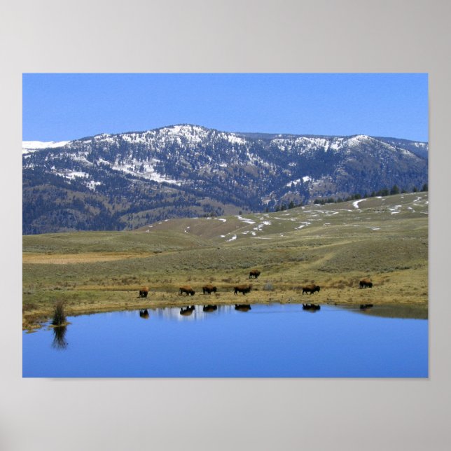 Póster Natural Reflection (Frente)