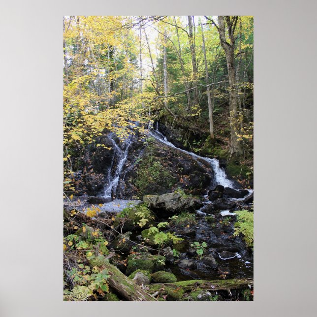 Póster Naturaleza (Frente)