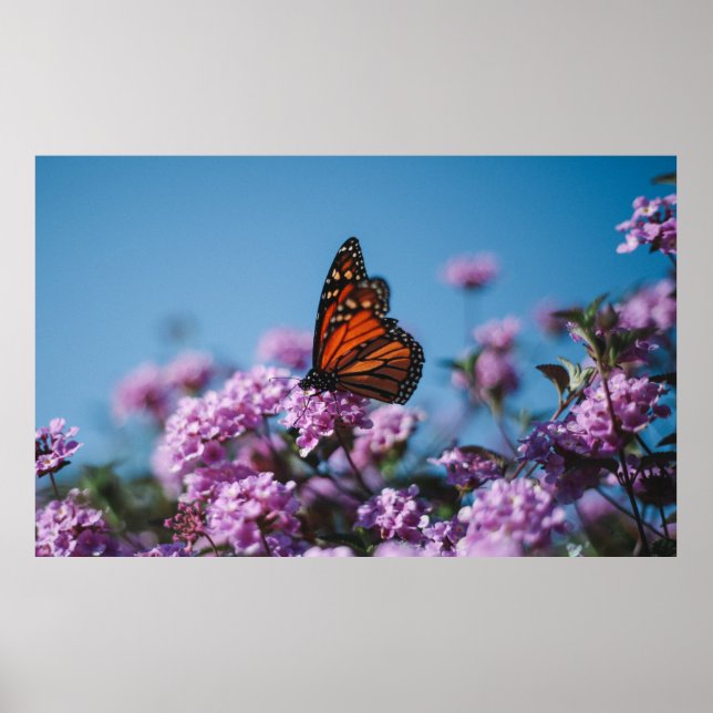 Póster Naturaleza (Frente)