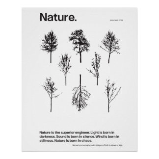 Póster Naturaleza