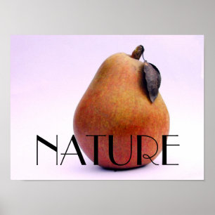 PÓSTER NATURALEZA