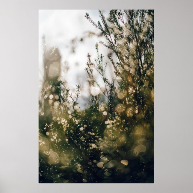 PÓSTER NATURALEZA (Frente)