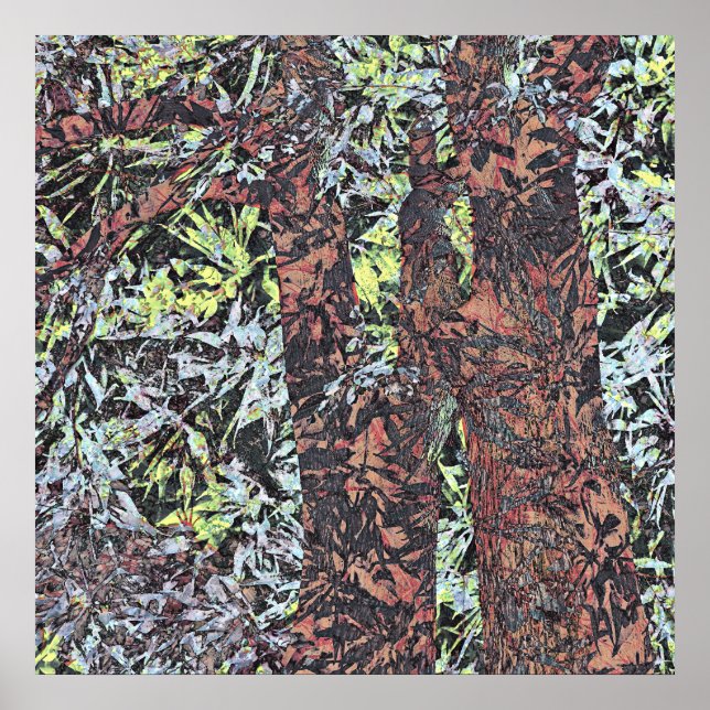 Póster Naturaleza (Frente)