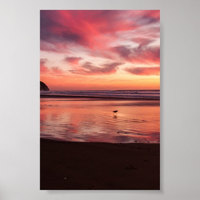 Póster Naturaleza (Frente)