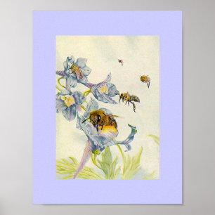 Póster Naturaleza Abejas y flores de gloria matutinas Lil