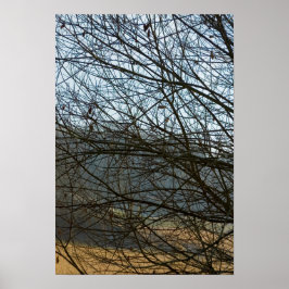 Póster Naturaleza abstracta