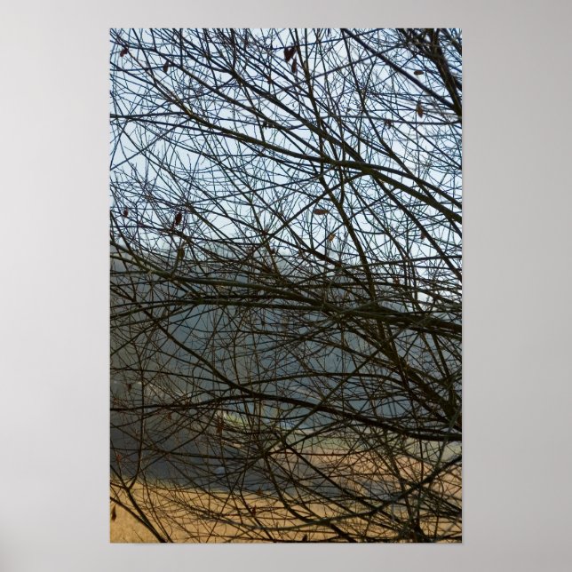 Póster Naturaleza abstracta (Frente)