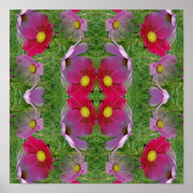 Póster Naturaleza abstracta de las flores de cosmos (Frente)