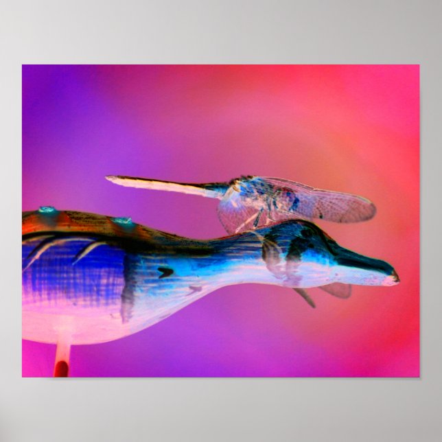 Póster Naturaleza abstracta del piloto de la compañía pil (Frente)