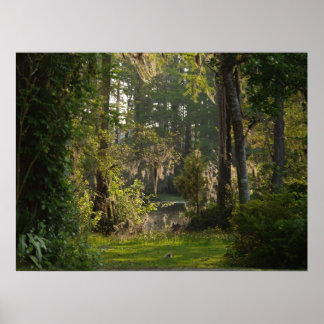 Póster Naturaleza Belleza