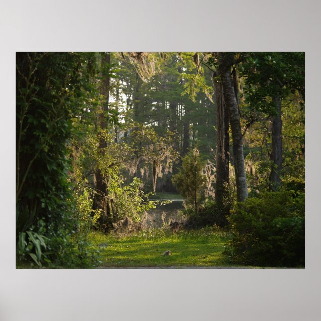 Póster Naturaleza Belleza (Frente)