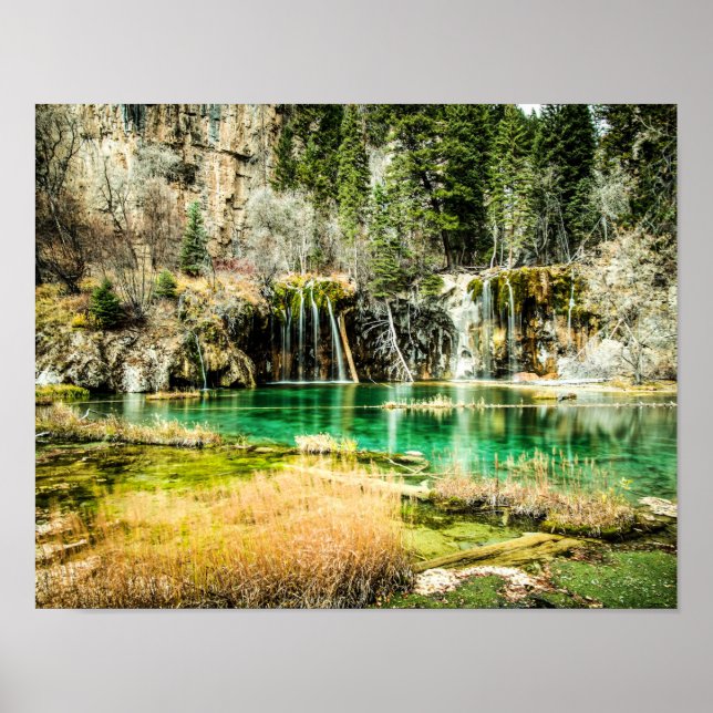 Póster Naturaleza Belleza eterna // Bosque de cascada (Frente)