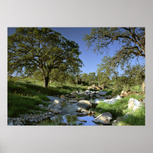 Póster Naturaleza cautivadora