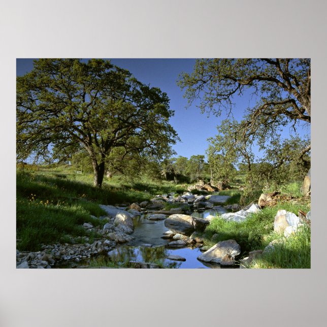 Póster Naturaleza cautivadora (Frente)