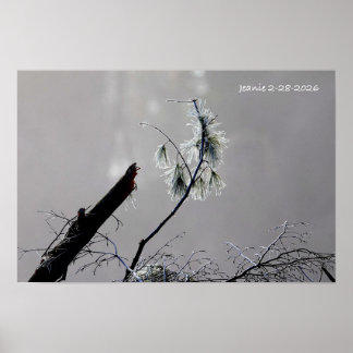 Póster Naturaleza de invierno