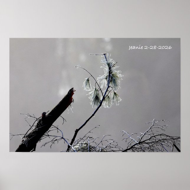 Póster Naturaleza de invierno (Frente)