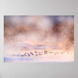 Póster Naturaleza de invierno de Japón. Escena de vida si