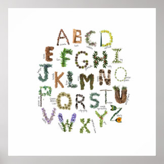 Póster Naturaleza de la planta Alphabet Nursery ABC botán