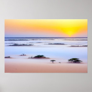 Póster Naturaleza de las llanuras Savannah Paisaje al air