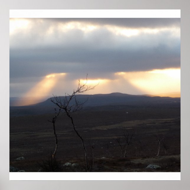 Póster Naturaleza de las tierras secas (Frente)