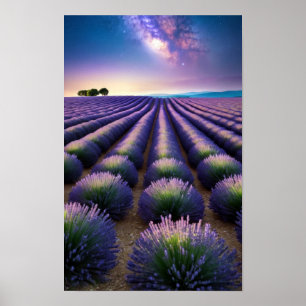 Póster Naturaleza de lavanda al aire libre Paisaje tranqu