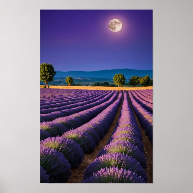 Póster Naturaleza de Lavanda Paisaje al aire libre Tranqu (Frente)