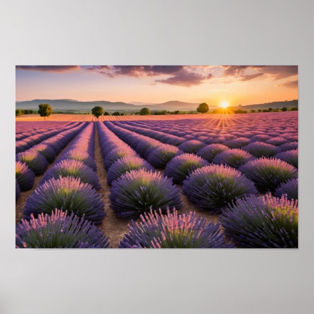Póster Naturaleza de Lavanda Paisaje al aire libre Tranqu (Frente)