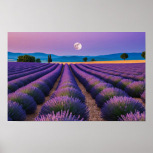 Póster Naturaleza de Lavanda Paisaje al aire libre Tranqu