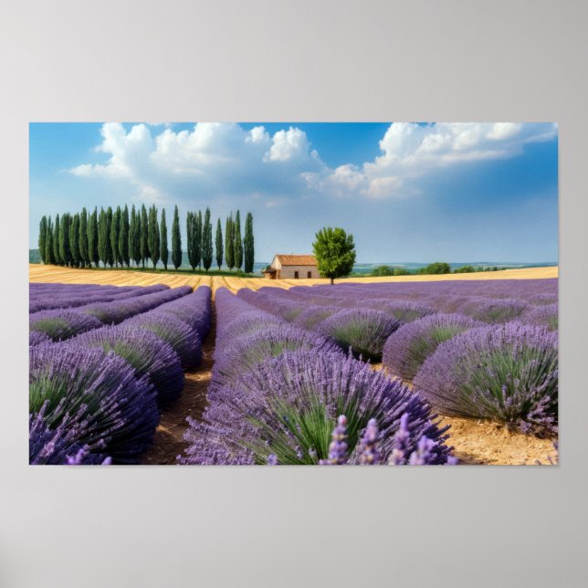 Póster Naturaleza de Lavanda Paisaje al aire libre Tranqu (Frente)