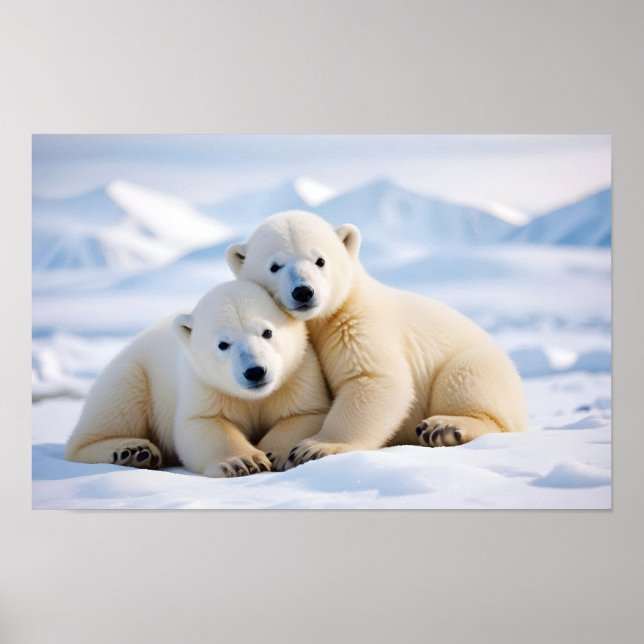 Póster Naturaleza de los animales del oso polar (Frente)
