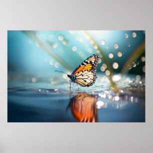Póster Naturaleza de los bosques de mariposa Serene Tranq