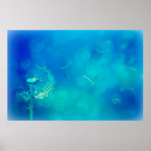 Póster Naturaleza de los dientes de león de fondo de text