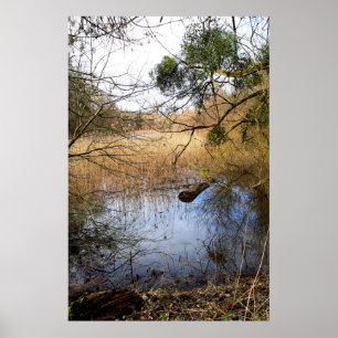Póster Naturaleza de los fondos marinos