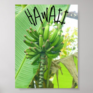 PÓSTER NATURALEZA HAWAII