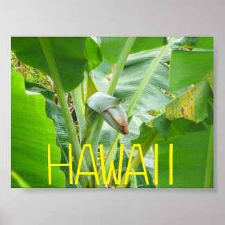 PÓSTER NATURALEZA HAWAII