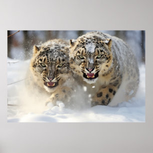 Póster Naturaleza majestuosa de los animales leopardo de