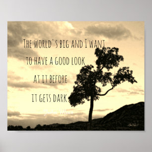 Póster naturaleza Muir cita poster sepia tonalidad