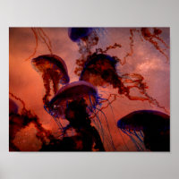 Naturaleza Poster de medusas del espacio oscuro