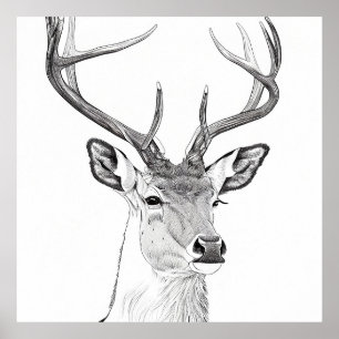 Póster Naturaleza salvaje Ilustracion animal dibujo de ar