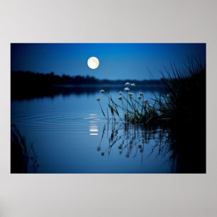 Póster Naturaleza tranquila del lago de la Luna