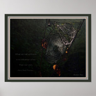 Póster Naturaleza: Una civilización distinta de la nuestr