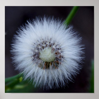 Póster Naturaleza y apos, sol