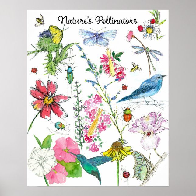 Póster Naturas Polinizadores Aves de abeja Insecas Flores (Frente)