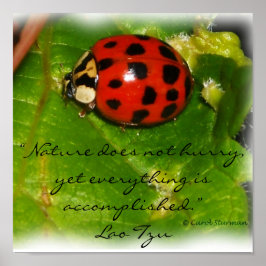 Póster Nature Does Not Hurry Poster